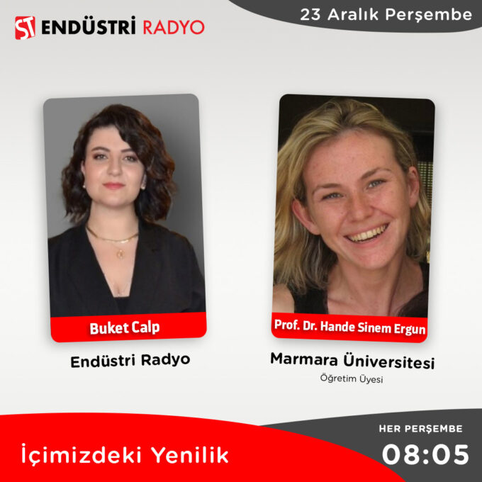 Marmara Üniversitesi Öğretim Üyesi Prof. Dr. Hande Sinem Ergun: İnovasyon Nedir? Ne Değildir?