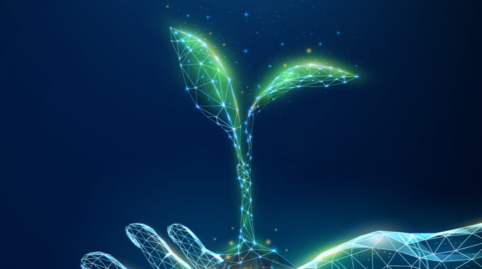 Abstract Giving Hand With Young Plant In Earth. Low Poly Style Design. Blue Geometric Background. Wireframe Light Connection Structure. Modern 3d Graphic Concept. Isolated Vector Illustration.