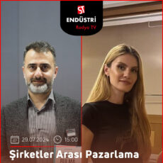 Şirketler Arası Pazarlama (B2B)