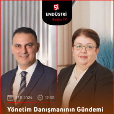 Yönetim Danışmanının Gündemi